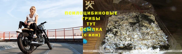 Альфа ПВП Заводоуковск