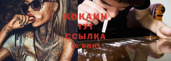 мескалин Ельня